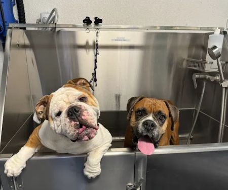 Imperial Highway Animal Clinic