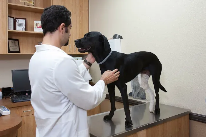 Imperial Highway Animal Clinic Picture 5