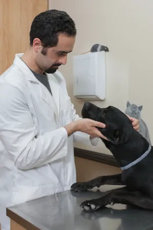 Imperial Highway Animal Clinic Picture 8