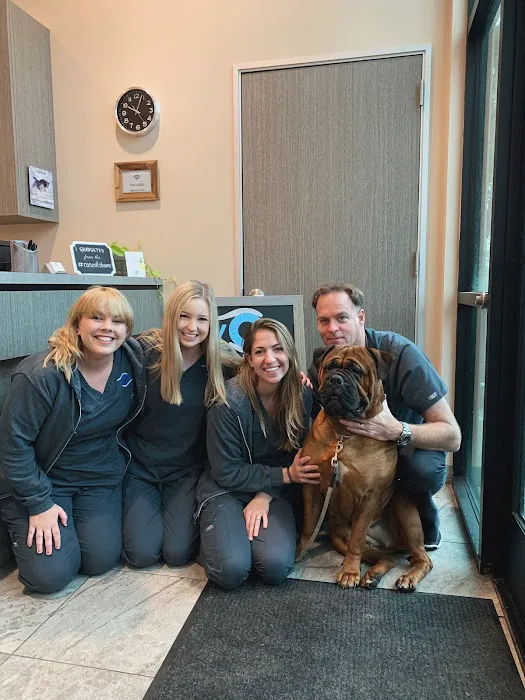 Veterinary Eye Institute Anaheim Picture 8