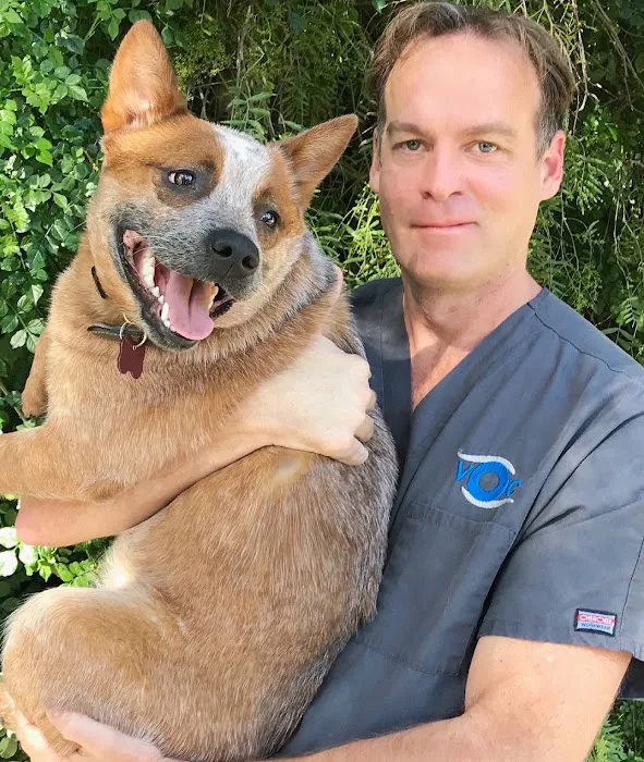 Veterinary Eye Institute Anaheim Picture 7