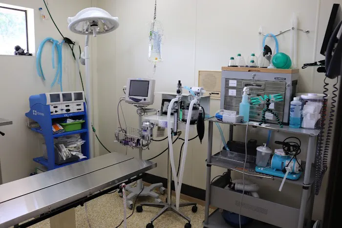 AM/PM Veterinary Hospital Picture 2