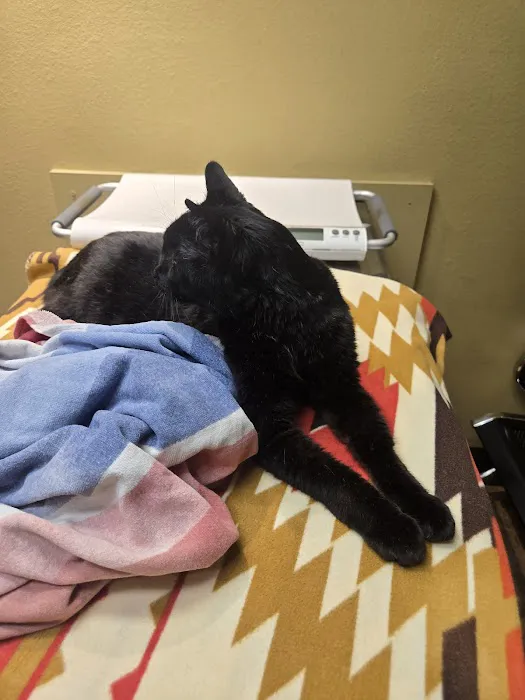 AM/PM Veterinary Hospital Picture 3