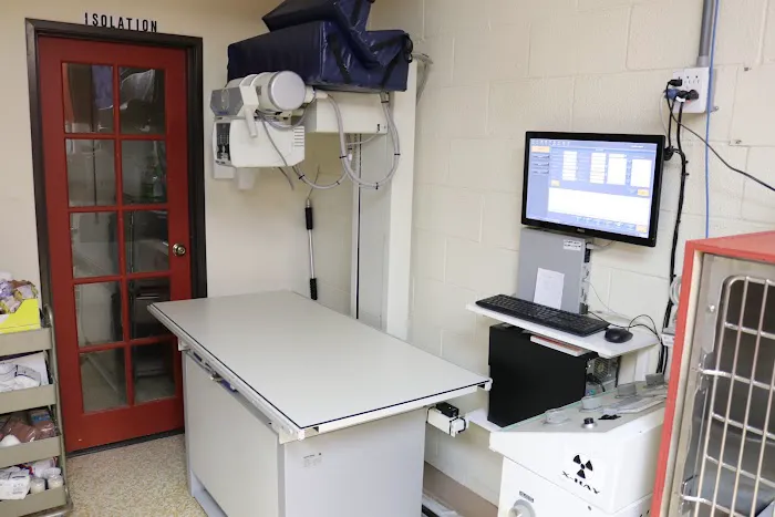 AM/PM Veterinary Hospital Picture 10