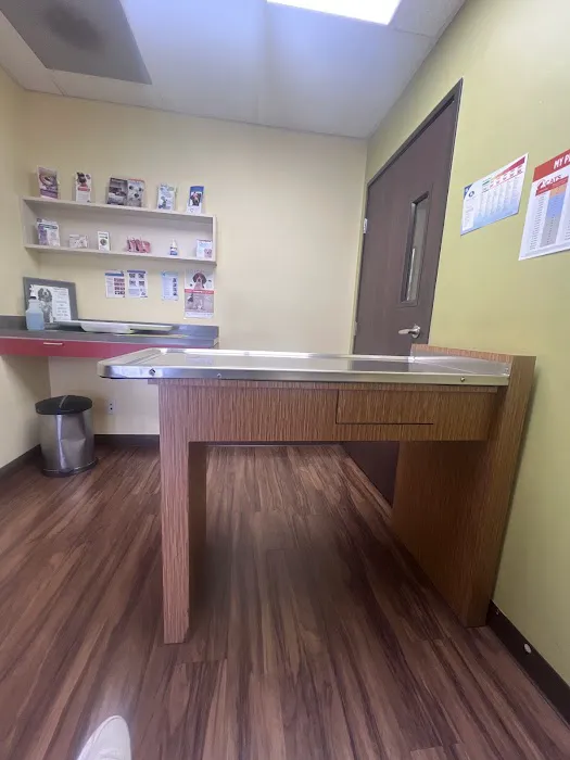 Yorba Lake Pet Clinic Picture 3