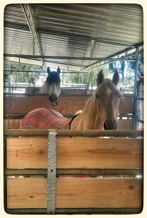 Equine Veterinary Associates, Inc. Picture 2