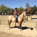 Equine Veterinary Associates, Inc.