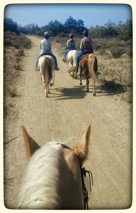 Equine Veterinary Associates, Inc. Picture 3