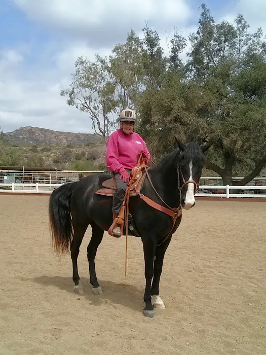 Equine Veterinary Associates, Inc. Picture 5