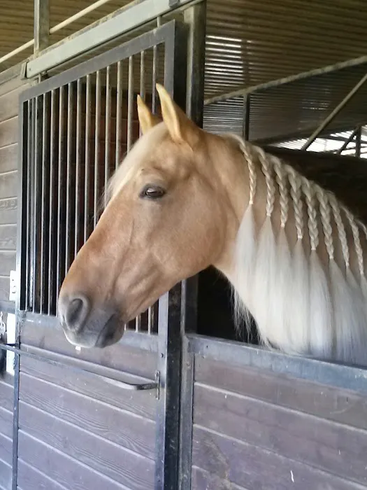 Equine Veterinary Associates, Inc. Picture 4