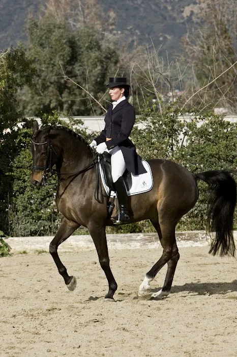 Equine Veterinary Associates, Inc. Picture 7