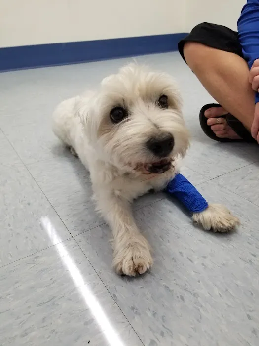 Paws N Claws Veterinary Hospital Picture 1