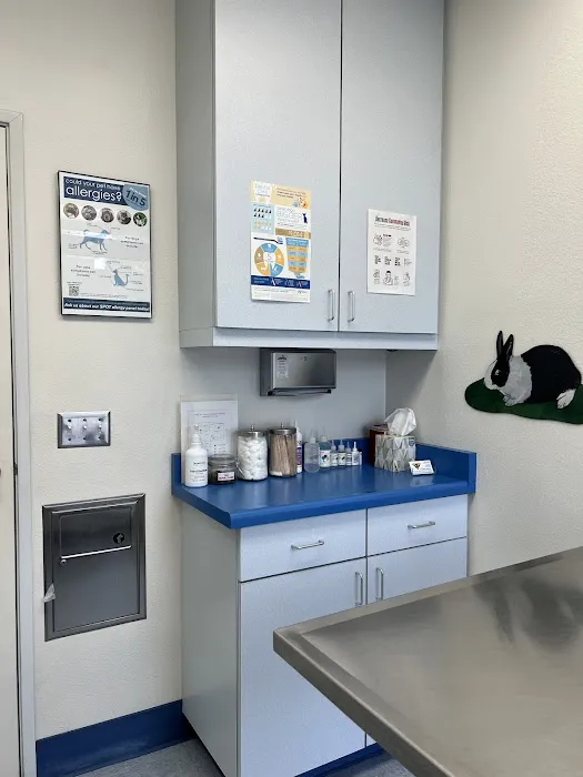 Paws N Claws Veterinary Hospital Picture 6