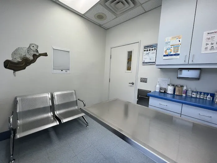 Paws N Claws Veterinary Hospital Picture 7