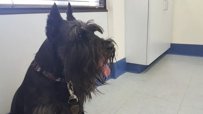 Paws N Claws Veterinary Hospital Picture 9