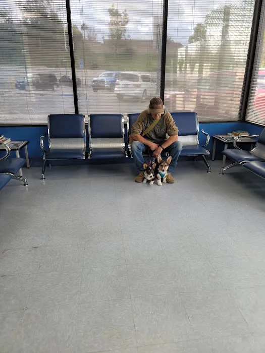 Paws N Claws Veterinary Hospital Picture 8