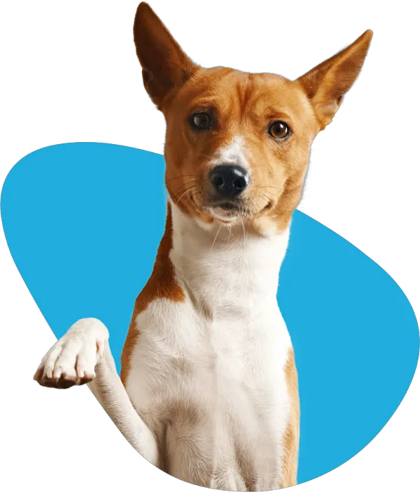 CASE Animal Hospital Picture 9