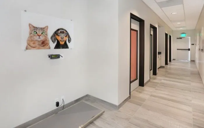 CASE Animal Hospital Picture 7