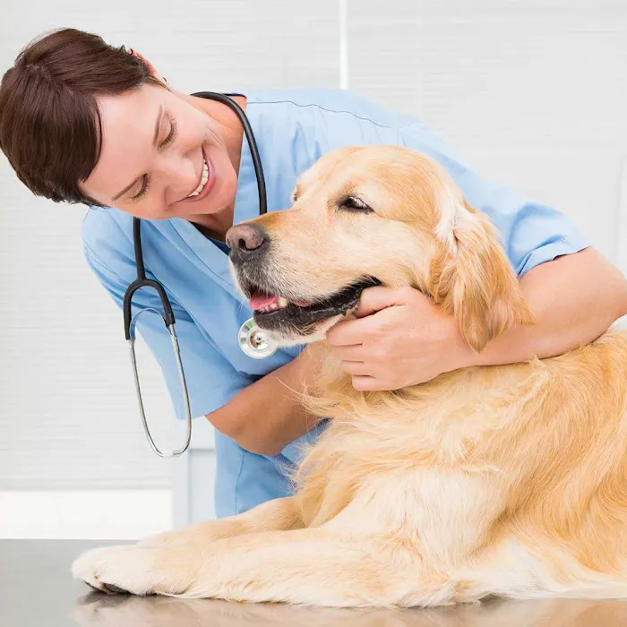 CASE Animal Hospital Picture 8