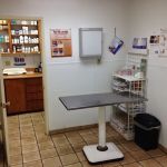 Affordable Animal Hospital