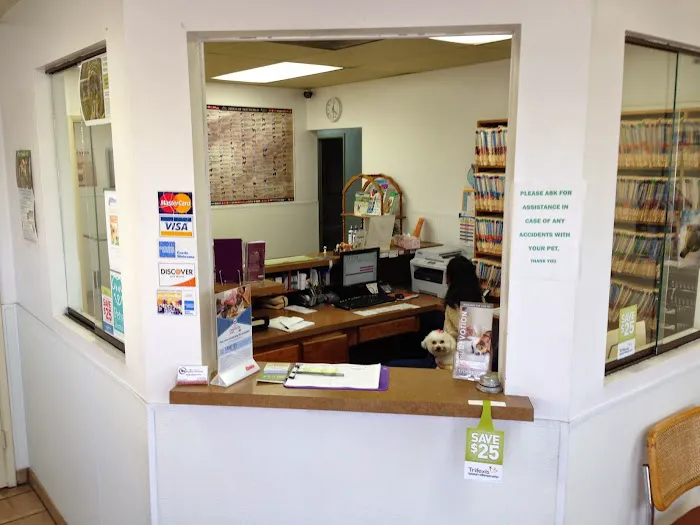 Affordable Animal Hospital Picture 2