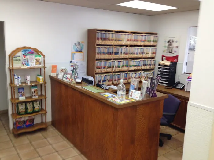 Affordable Animal Hospital Picture 10