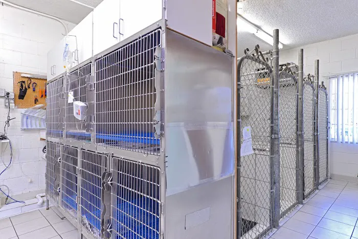 Cottage Pet Hospital Picture 8