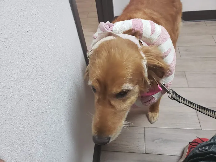 Riverdale Animal Hospital Picture 2