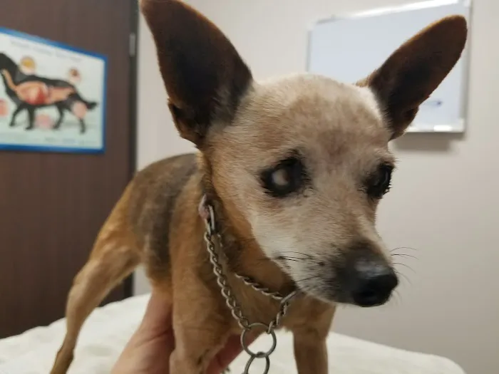 Riverdale Animal Hospital Picture 8