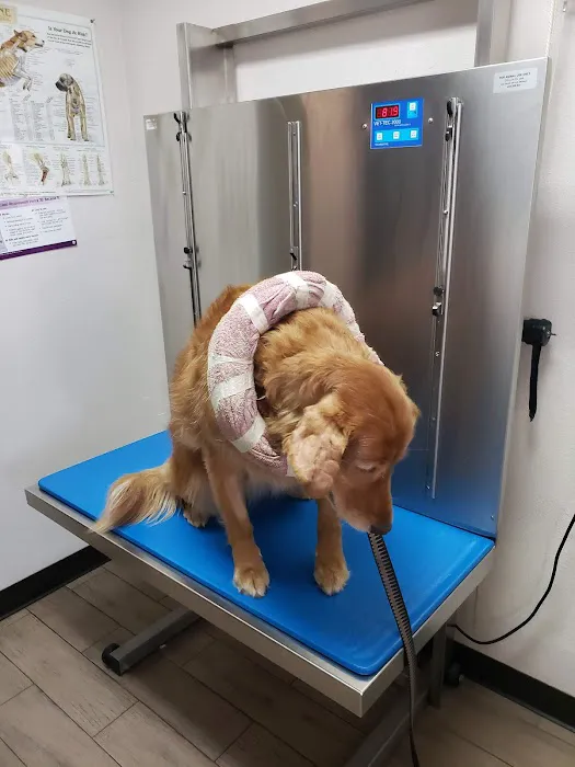 Riverdale Animal Hospital Picture 4