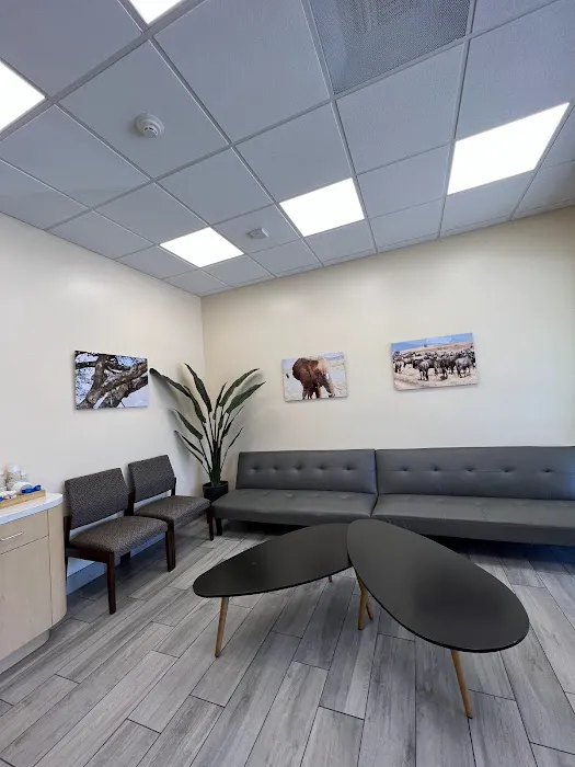 Animal Orthopedic Center Picture 2