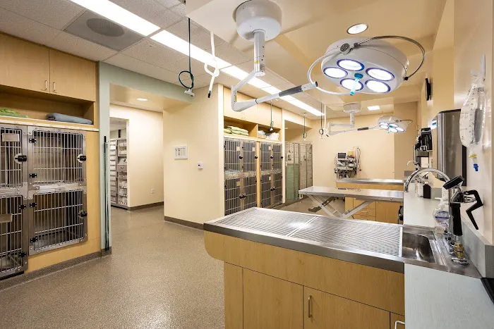 Animal Orthopedic Center Picture 9