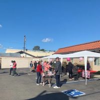 Nohl Ranch Animal Hospital ico