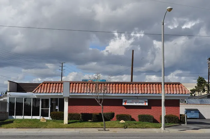 Nohl Ranch Animal Hospital Picture 6