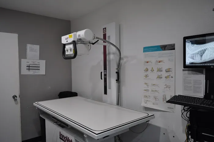Nohl Ranch Animal Hospital Picture 8
