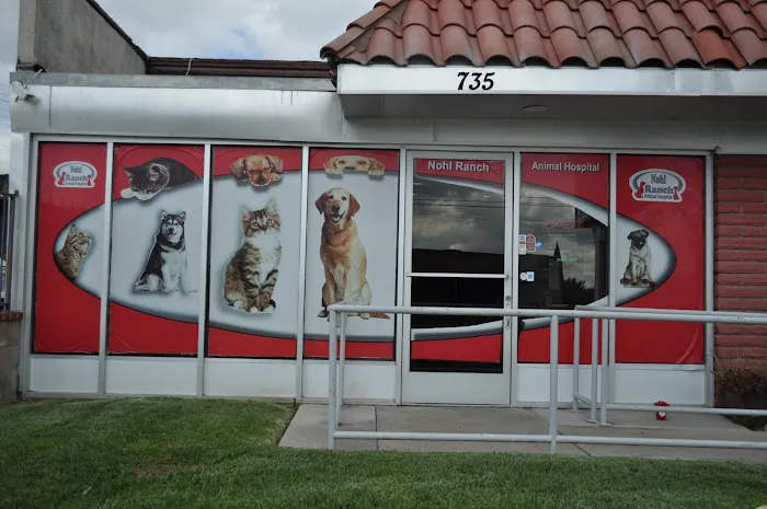 Nohl Ranch Animal Hospital Picture 9