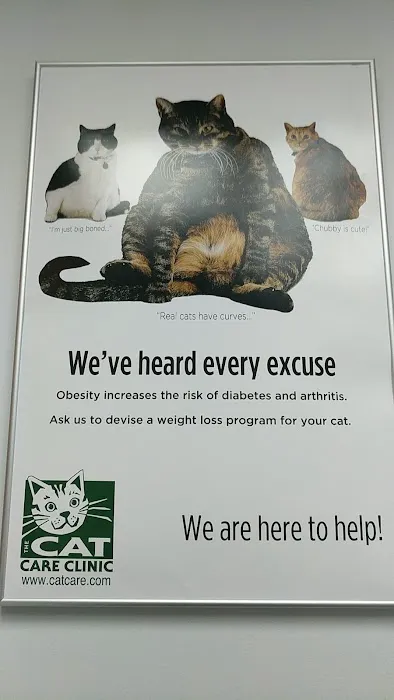 The Cat Care Clinic Picture 2