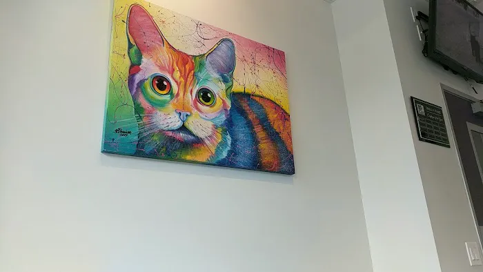 The Cat Care Clinic Picture 4