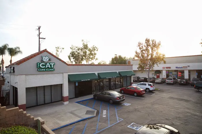 The Cat Care Clinic Picture 9