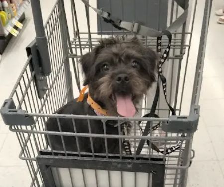Banfield Pet Hospital