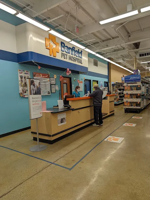 Banfield Pet Hospital Picture 6