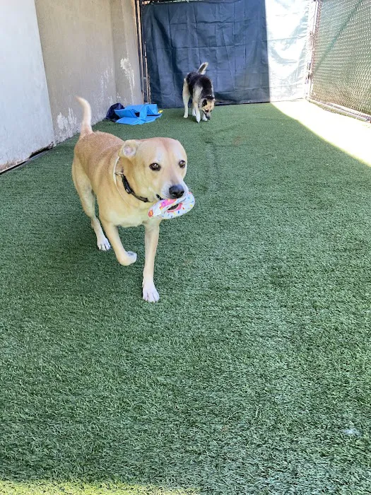 Anaheim Hills Pet Clinic Picture 2