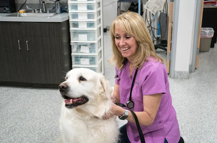 Anaheim Hills Pet Clinic Picture 8