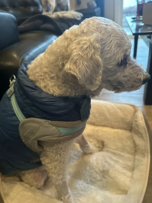 Family Pet Clinic Picture 5