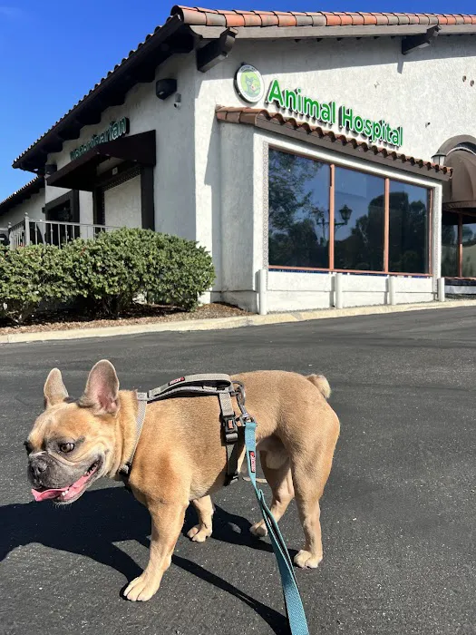 Better Health Animal Hospital Picture 1