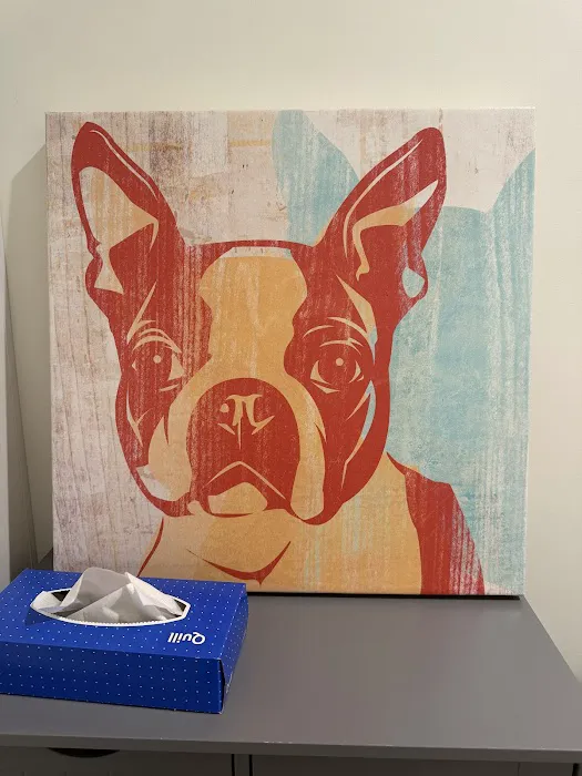 Better Health Animal Hospital Picture 5