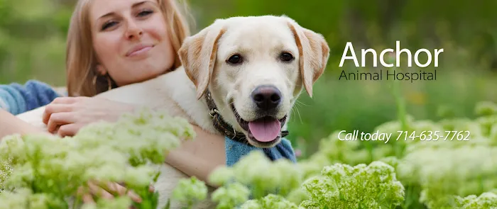 Anchor Animal Hospital Picture 1