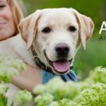 Anchor Animal Hospital