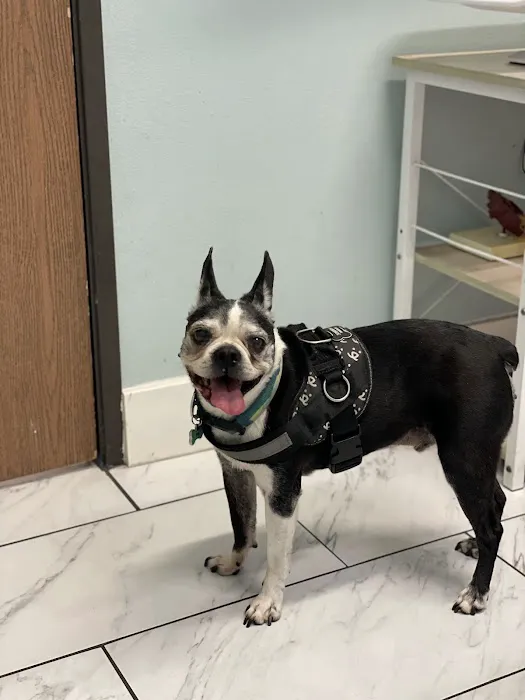 Anchor Animal Hospital Picture 3