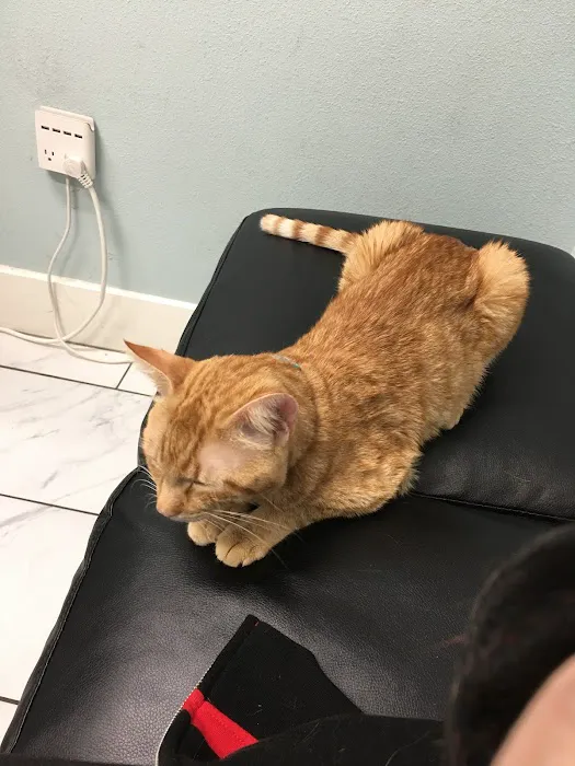 Anchor Animal Hospital Picture 4